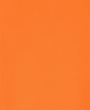 Jb's Wear - Hi Vis L/S NSW/QLD Rail Biomotion X-Back Polo - 6DAQL