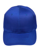 Winning Spirit-Polycotton Twill Cap-CH13