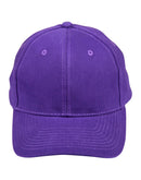Winning Spirit-Heavy Brushed Cotton Cap-CH01